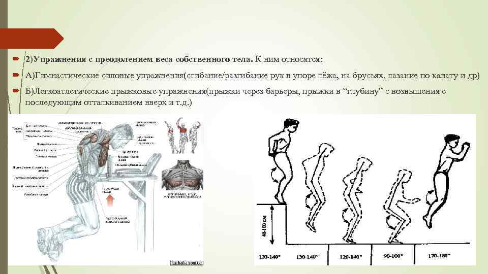  2)Упражнения с преодолением веса собственного тела. К ним относятся: А)Гимнастические силовые упражнения(сгибание/разгибание рук
