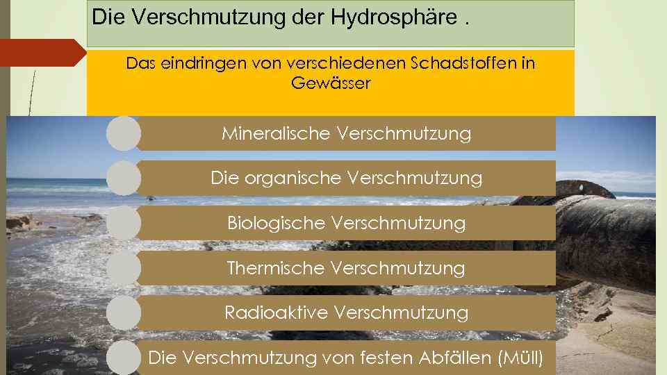 Die Verschmutzung der Hydrosphäre. Das eindringen von verschiedenen Schadstoffen in Gewässer Mineralische Verschmutzung Die