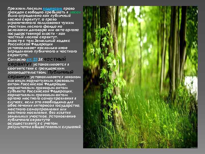 Прежним Лесным кодексом право граждан свободно пребывать в лесах было определено как публичный лесной