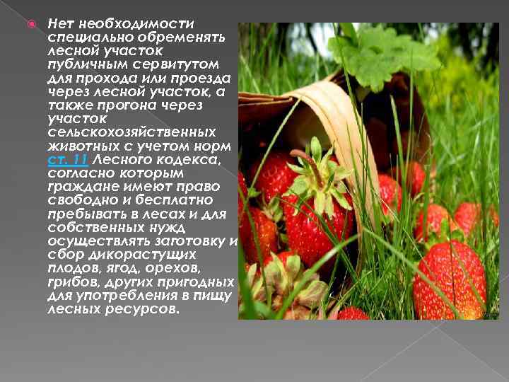  Нет необходимости специально обременять лесной участок публичным сервитутом для прохода или проезда через