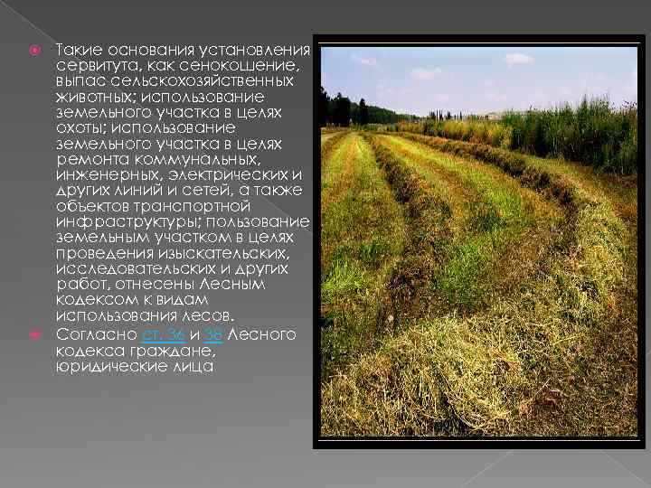 Такие основания установления сервитута, как сенокошение, выпас сельскохозяйственных животных; использование земельного участка в целях