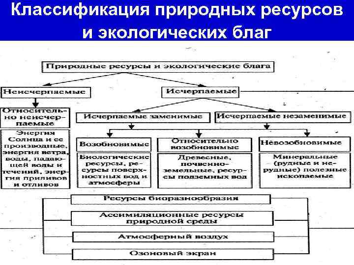 Классификация природных ресурсов и экологических благ 