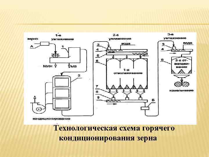 Схема горячий. Схема холодного кондиционирования зерна. Скоростное кондиционирование зерна схема. Технологическая схема холодного кондиционирования зерна. Горячее кондиционирование зерна.