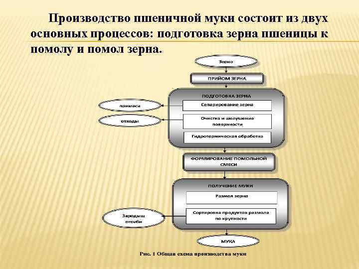 Производство пшеничной муки состоит из двух основных процессов: подготовка зерна пшеницы к помолу и