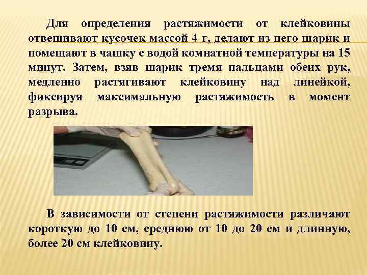 Для определения растяжимости от клейковины отвешивают кусочек массой 4 г, делают из него шарик