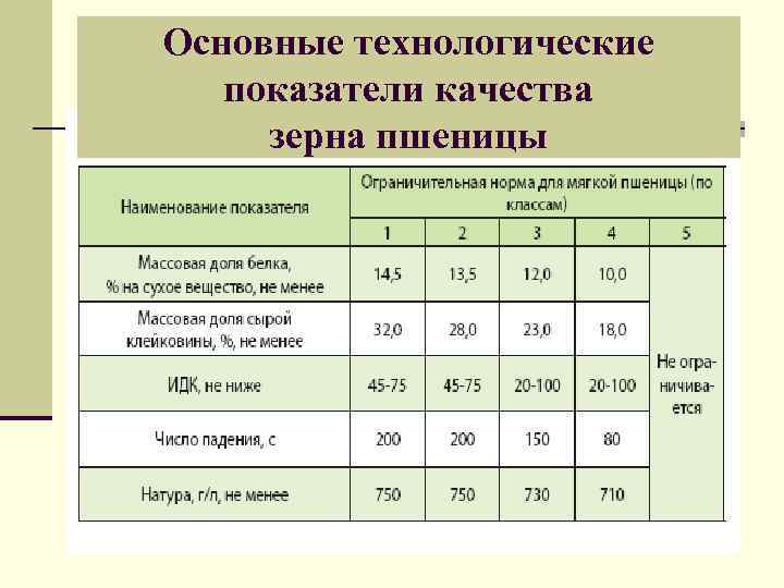 Основные технологические показатели качества зерна пшеницы 