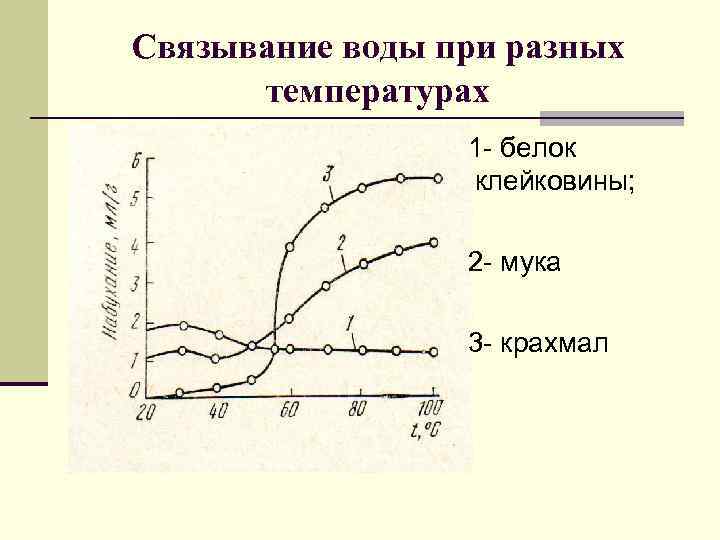 Связывание воды при разных температурах 1 - белок клейковины; 2 - мука 3 -