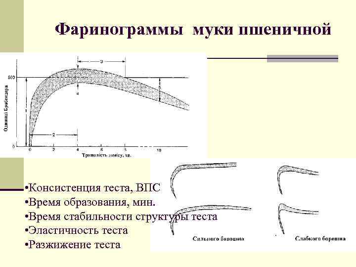 Фаринограммы муки пшеничной • Консистенция теста, ВПС • Время образования, мин. • Время стабильности