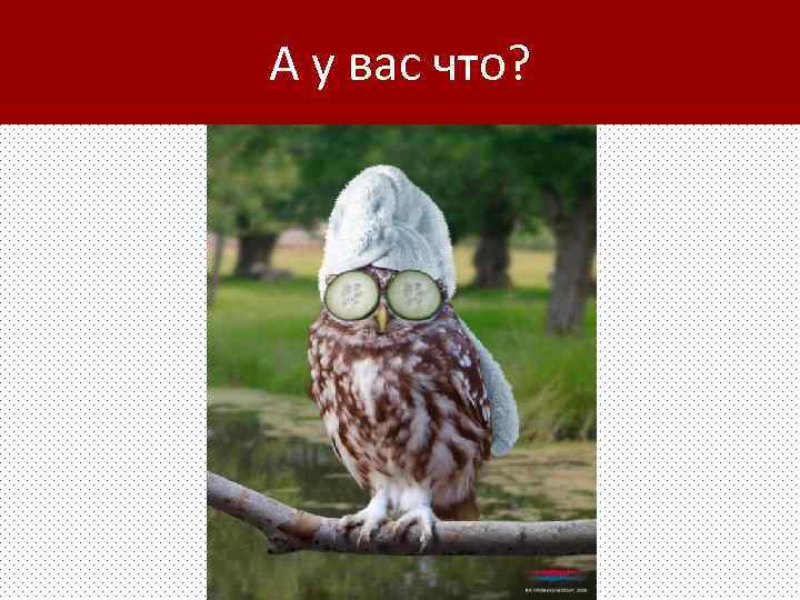 А у вас что? 