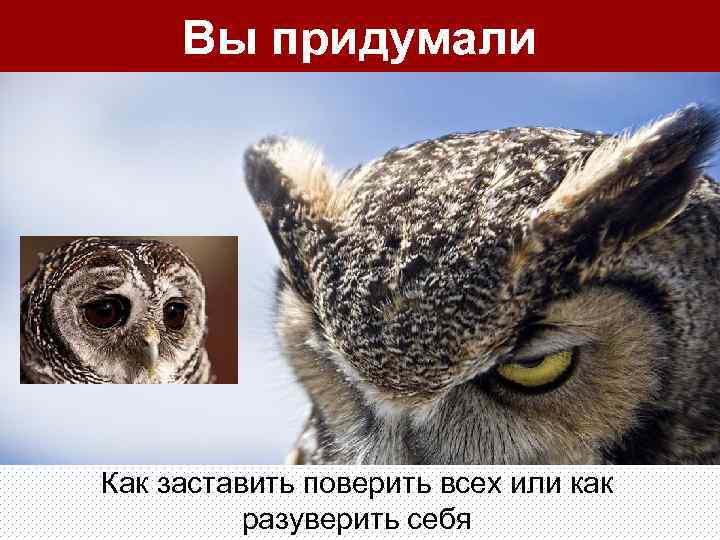 Вы придумали Как заставить поверить всех или как разуверить себя 