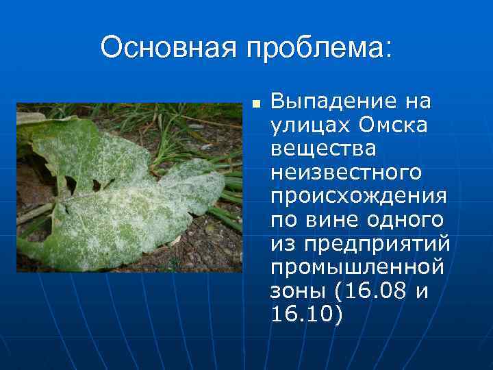 Основная проблема: n Выпадение на улицах Омска вещества неизвестного происхождения по вине одного из