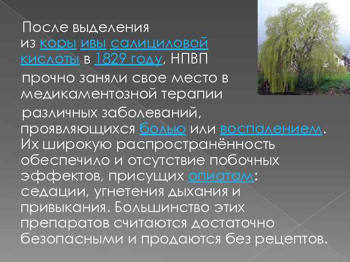 После выделения из коры ивы салициловой кислоты в 1829 году, НПВП прочно заняли свое