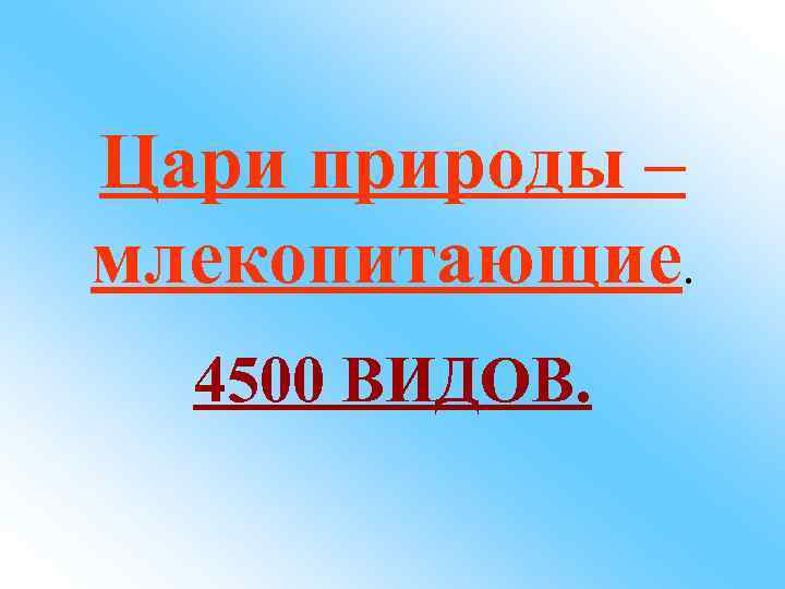 Цари природы – млекопитающие. 4500 ВИДОВ. 