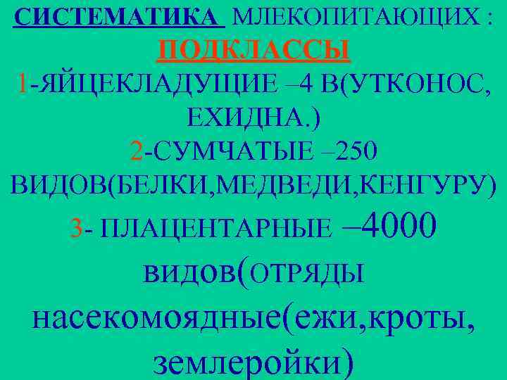 СИСТЕМАТИКА МЛЕКОПИТАЮЩИХ : ПОДКЛАССЫ 1 -ЯЙЦЕКЛАДУЩИЕ – 4 В(УТКОНОС, ЕХИДНА. ) 2 -СУМЧАТЫЕ –