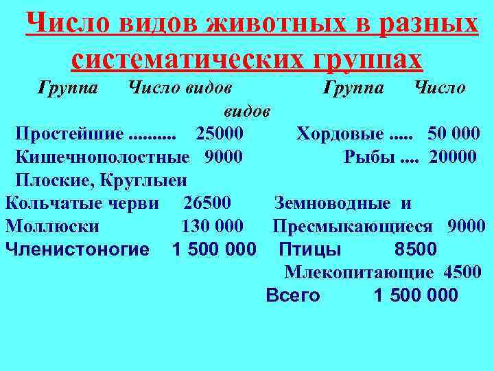 Число видов животных в разных систематических группах Группа Число видов Простейшие. . 25000 Хордовые.