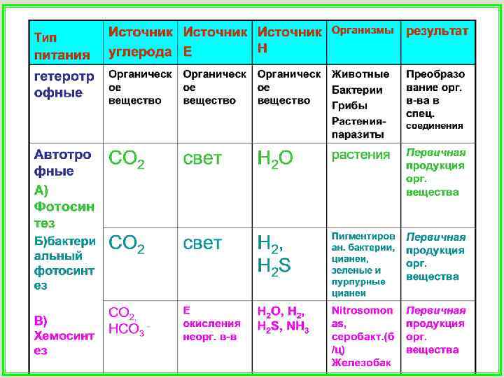 Фазы фотосинтеза таблица