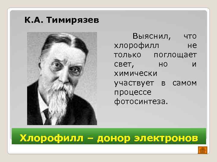 Впервые значение хлорофилла установил русский ученый. Тимирязев хлорофилл. Тимирязев фотосинтез. Тимирязев солнце жизнь и хлорофилл. Тимирязев фото.