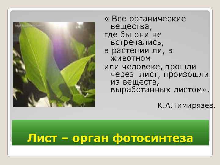  « Все органические вещества, где бы они не встречались, в растении ли, в