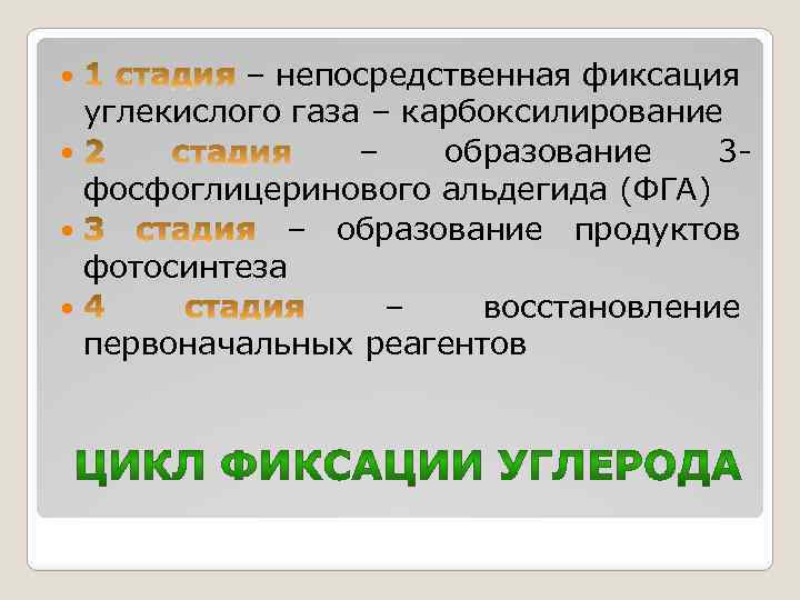 При фотосинтезе фиксация углекислого газа происходит