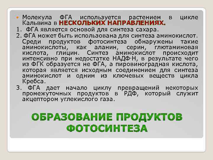 Молекула ФГА используется растением в цикле Кальвина в НЕСКОЛЬКИХ НАПРАВЛЕНИЯХ. 1. ФГА является основой