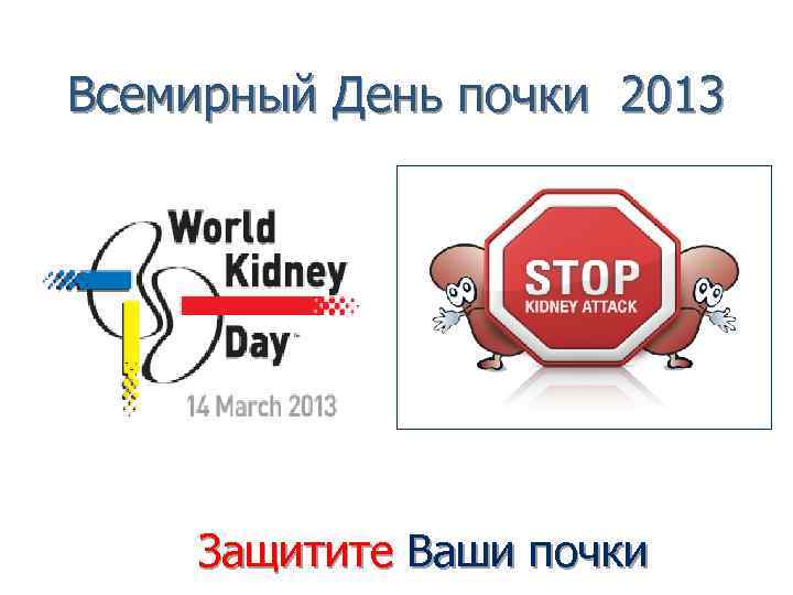 Всемирный День почки 2013 Защитите Ваши почки 