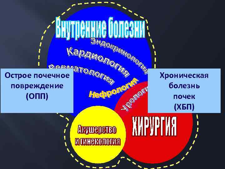 Острое почечное повреждение (ОПП) Хроническая болезнь почек (ХБП) 
