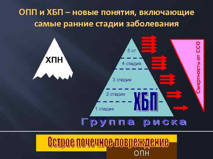 5 ст ХПН 4 стадия 3 стадия 2 стадия 1 стадия ОПН Смертность от
