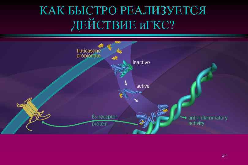 КАК БЫСТРО РЕАЛИЗУЕТСЯ ДЕЙСТВИЕ и. ГКС? 41 