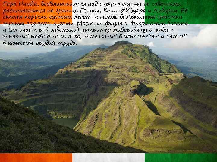 Гора Нимба, возвышающаяся над окружающими ее саваннами, располагается на границе Гвинеи, Кот-д`Ивуара и Либерии.