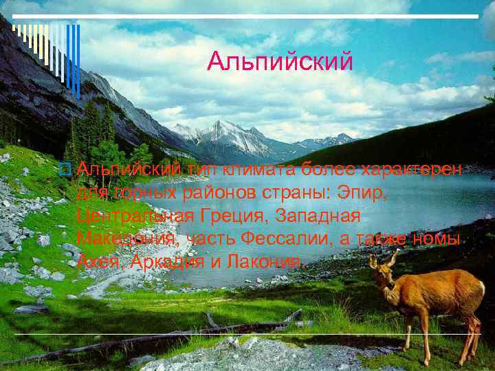 Альпийский тип климата более характерен для горных районов страны: Эпир, Центральная Греция, Западная Македония,