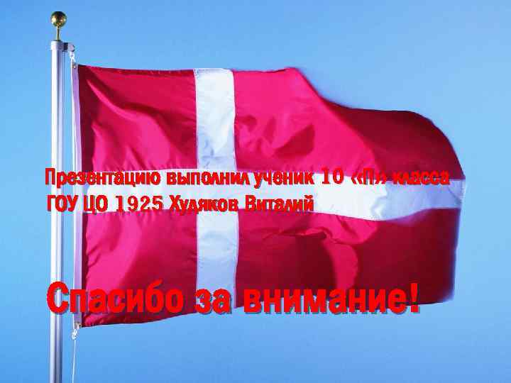 Презентацию выполнил ученик 10 «П» класса ГОУ ЦО 1925 Худяков Виталий Спасибо за внимание!