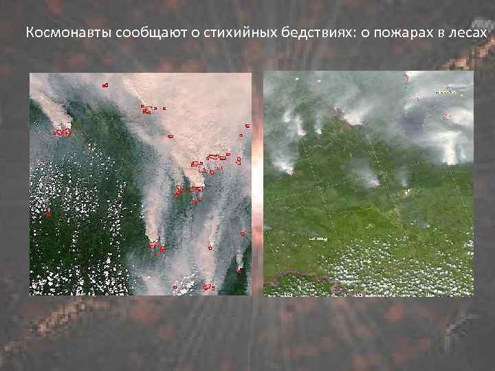 Космонавты сообщают о стихийных бедствиях: о пожарах в лесах 