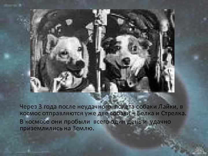 Через 3 года после неудачного полета собаки Лайки, в космос отправляются уже две собаки