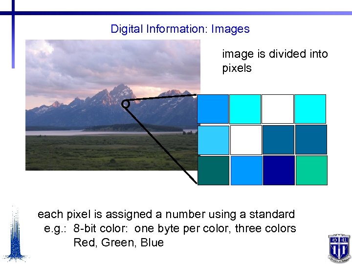 Digital Information: Images image is divided into pixels each pixel is assigned a number