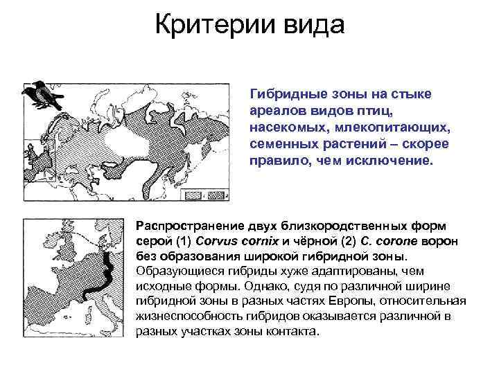 Ареал занимаемый видом это критерий