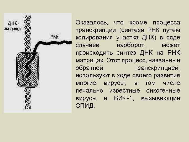 Оказалось, что кроме процесса транскрипции (синтеза РНК путем копирования участка ДНК) в ряде случаев,