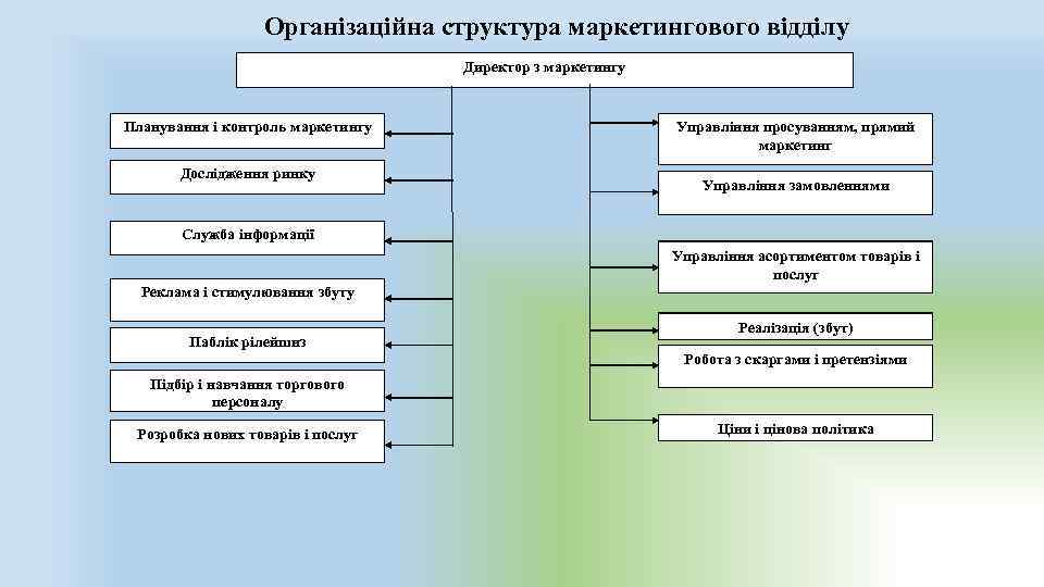 Структура маркетингового плана