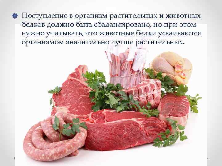  • Поступление в организм растительных и животных белков должно быть сбалансировано, но при