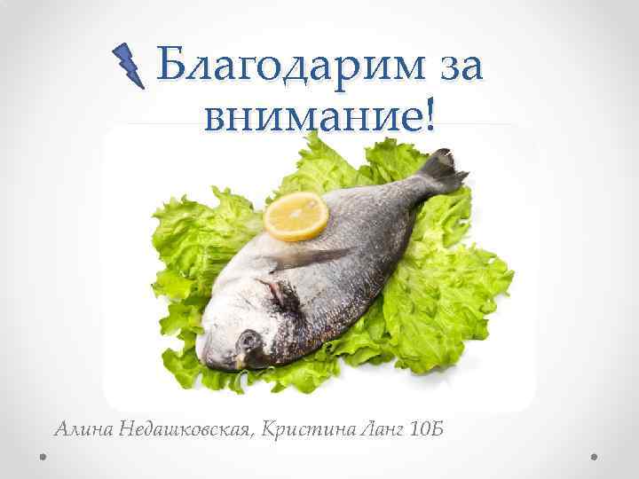 Благодарим за внимание! Алина Недашковская, Кристина Ланг 10 Б 