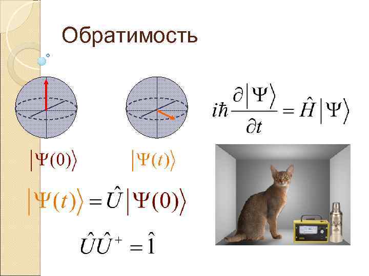 Обратимость 