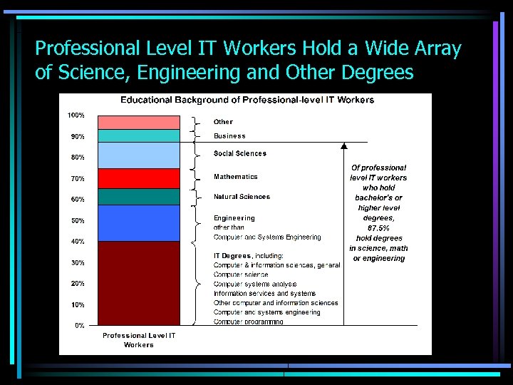 Professional Level IT Workers Hold a Wide Array of Science, Engineering and Other Degrees