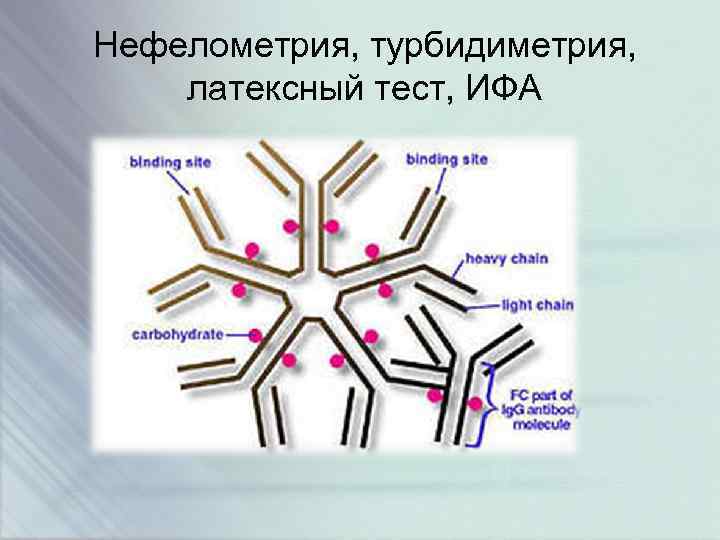 Нефелометрия, турбидиметрия, латексный тест, ИФА 