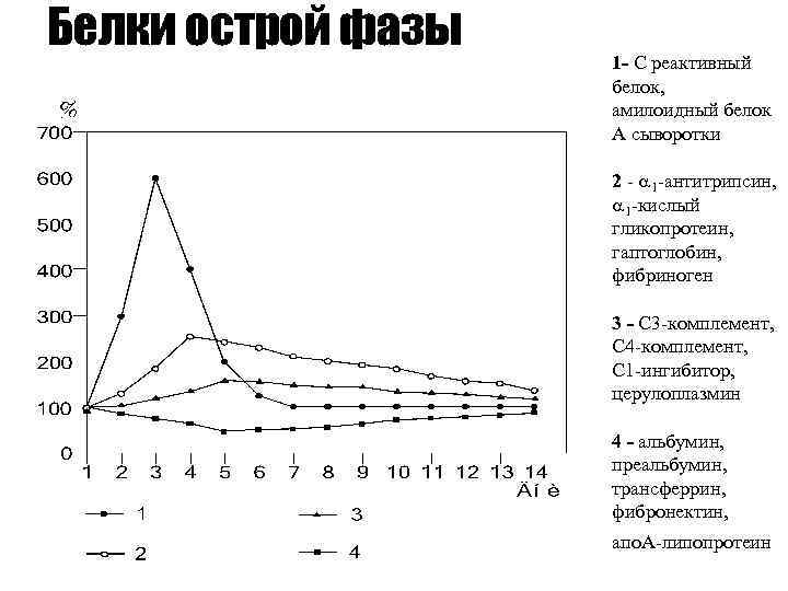 Фазы белков. Белок острой фазы с-реактивный белок. Белки острой фазы с реактивный белок. Белки острой фазы диагностическое значение. Позитивные белки острой фазы.