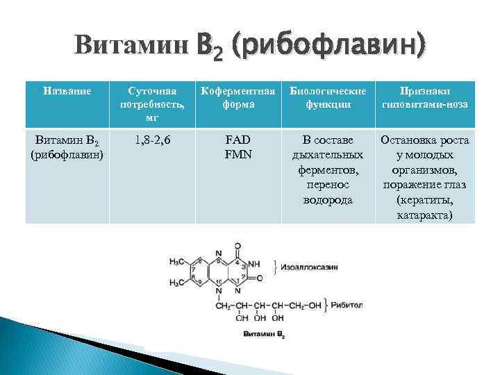 Витамин В 2 (рибофлавин) Название Суточная потребность, мг Коферментная форма Биологические функции Признаки гиповитами-ноза