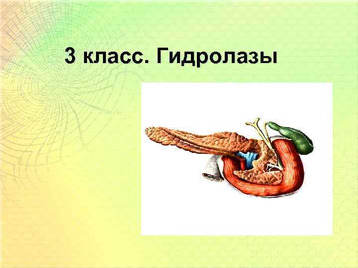 3 класс. Гидролазы 