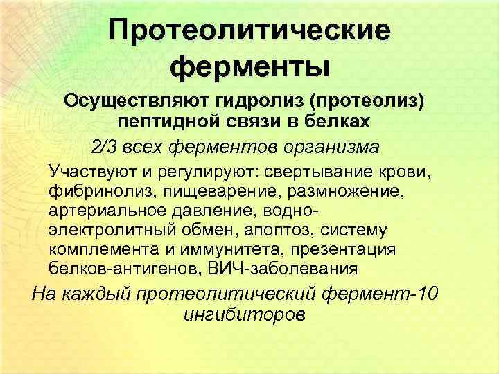 Протеолитические ферменты Осуществляют гидролиз (протеолиз) пептидной связи в белках 2/3 всех ферментов организма Участвуют