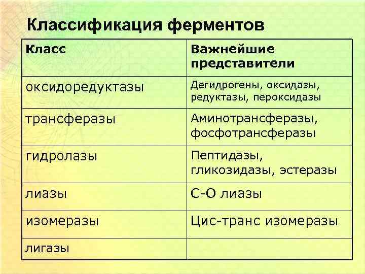 Классификация ферментов Класс Важнейшие представители оксидоредуктазы Дегидрогены, оксидазы, редуктазы, пероксидазы трансферазы Аминотрансферазы, фосфотрансферазы гидролазы