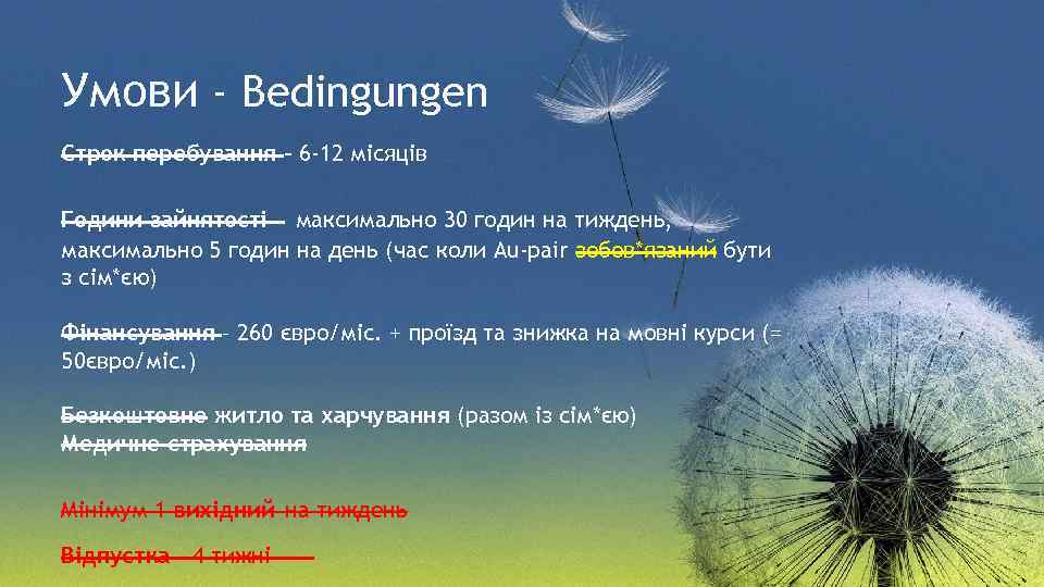 Умови - Bedingungen Строк перебування - 6 -12 місяців Години зайнятості максимально 30 годин