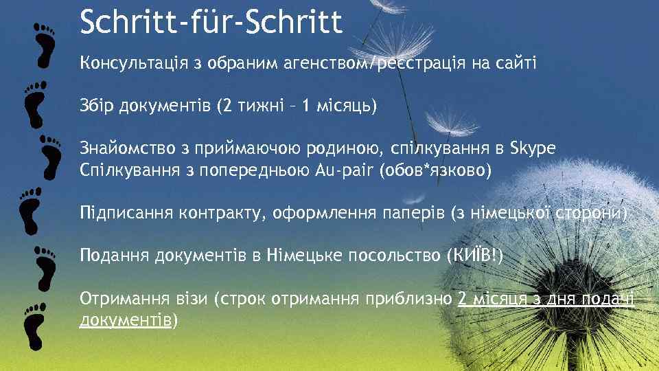 Schritt-für-Schritt Консультація з обраним агенством/реєстрація на сайті Збір документів (2 тижні – 1 місяць)