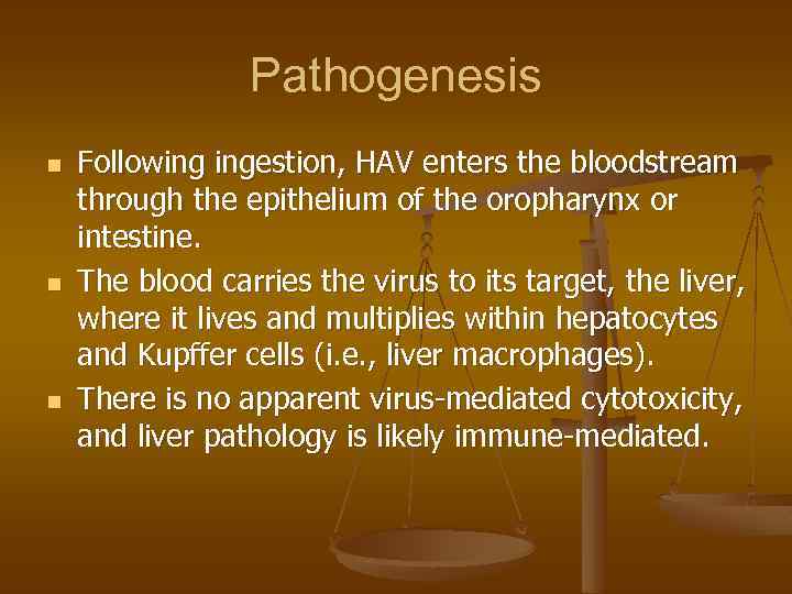 Pathogenesis n n n Following ingestion, HAV enters the bloodstream through the epithelium of